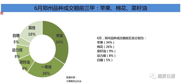 6月郑州品种成交额前三甲 6月郑州品种成交额前三甲
